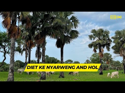 DIET KE NYARWENG AND HOL