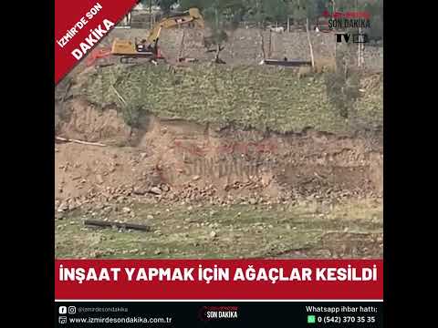 İnşaat için ağaç