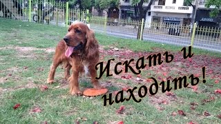 Найти можно все! Ронни Грант.