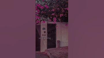 قران كريم بصوت هزاع البلوشي 🌿🧡 حالات واتس اب دينية مقاطع استقرام