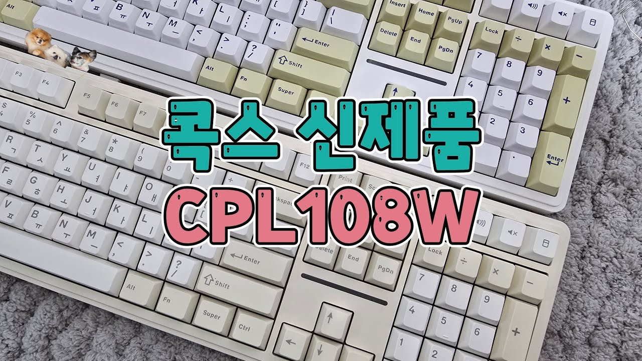 나눔🌠 콕스 신제품 출시! CPL108W | 궁금하면 들어와서 감상해보세요 ✨️
