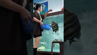 Feeding the Giants 🐟💥 Time for Lunch