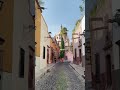 Doors of San Miguel de Allende 🇲🇽🇲🇽🇲🇽 #shorts