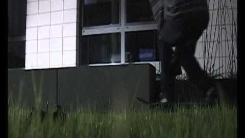 Heelflip FS Tailslide to fakie