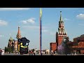 Голубь против амонгуса