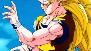 Dragon Ball Z AMV - Its Not My Time