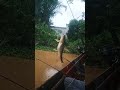 Orang biasa mancing #viral #hiburan #fishing #laguviral #dangdutviral