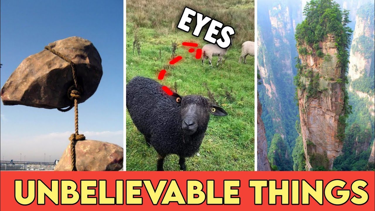 Top 5 Unbelievable Things You Won't Believe Exist! YouTube