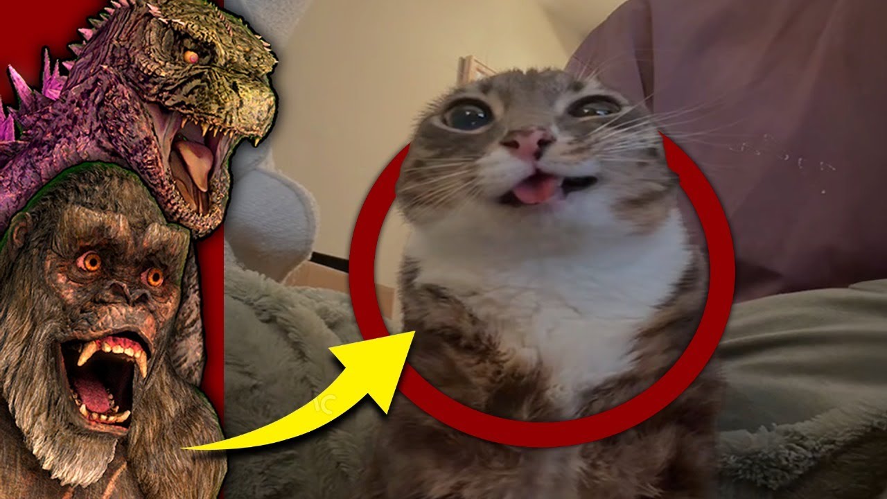 Ranking The FUNNIEST TikToks