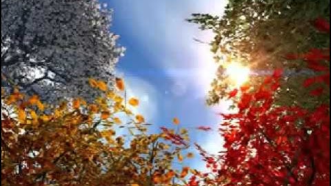 سوره الرحمن عروس القران بصوت احمد العجمي