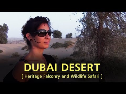 Dubai Desert – Heritage Falconry and Wildlife Safari – Vilin Travel