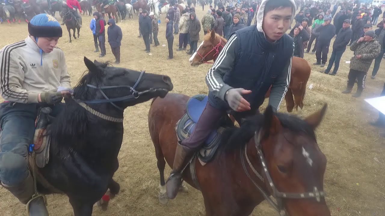 Парменкуловтар отбасындагы кокпар Жетисай Часть 2