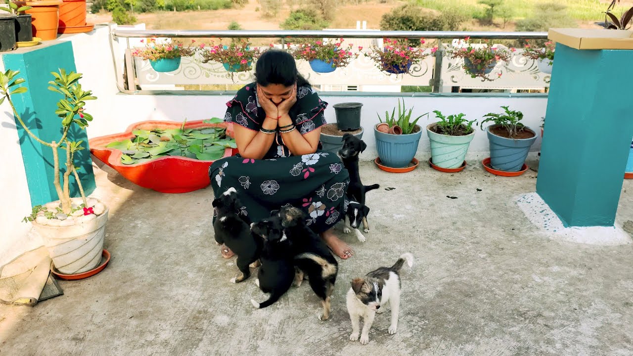 टेरेस गार्डनच्या झाडांची वाट लावली 🤦 एवढी चांगली साडी आजीने कट केली 🤷 आठवड्याची काम करून घेतली 👍