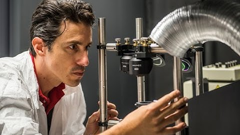 Professor Andrea Fratalocchi