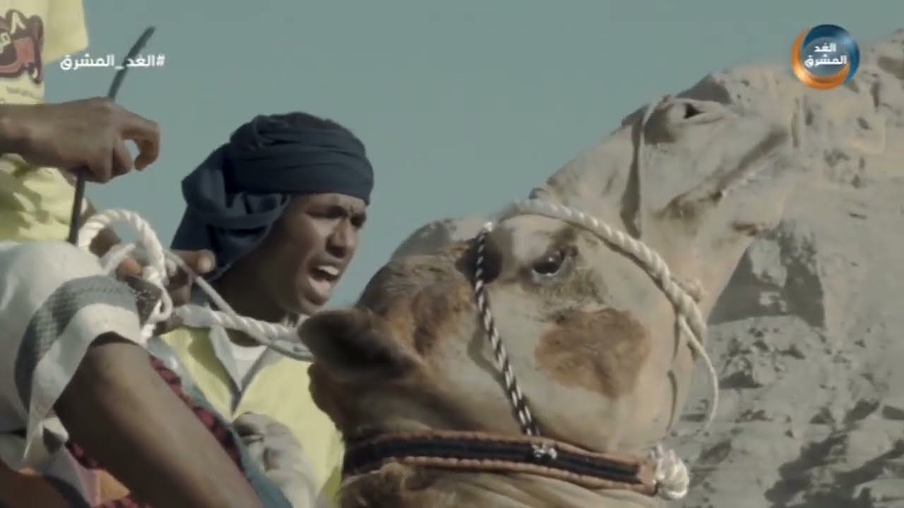 رحلة الهجن الجزء الثاني في حضرموت