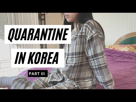 Quarantine Grocery Haul in Korea | Quarantine in Korea 🇰🇷 | vlog