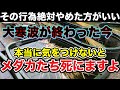 その行為絶対やめた方がいい！大寒波が終わった今、本当に気を付けないとメダカたち死にますよ※寒冷地はこの限りでは有りません