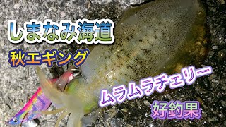 しまなみ海道で秋イカエギング　ムラムラチェリー好釣果　vol.3