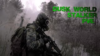 Стрим DayZ DUSK WORLD STALKER PVE