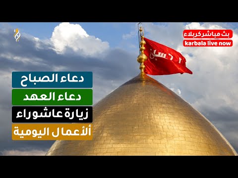 البث المباشر من كربلاء المقدسة شهر ربيع الآخر دعاء الصباح زيارة عاشوراء أدعية لقضاء الحوائج