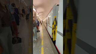 Travel in the high speed train