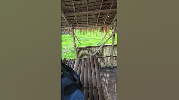Nipa Hut #tagalogfolksong #bahaykubo #travel #awitingbayan