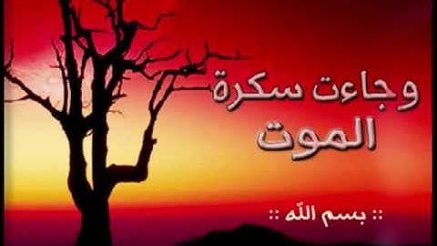 من آروع واخشع تلاوات الشيخ ياسر الدوسري