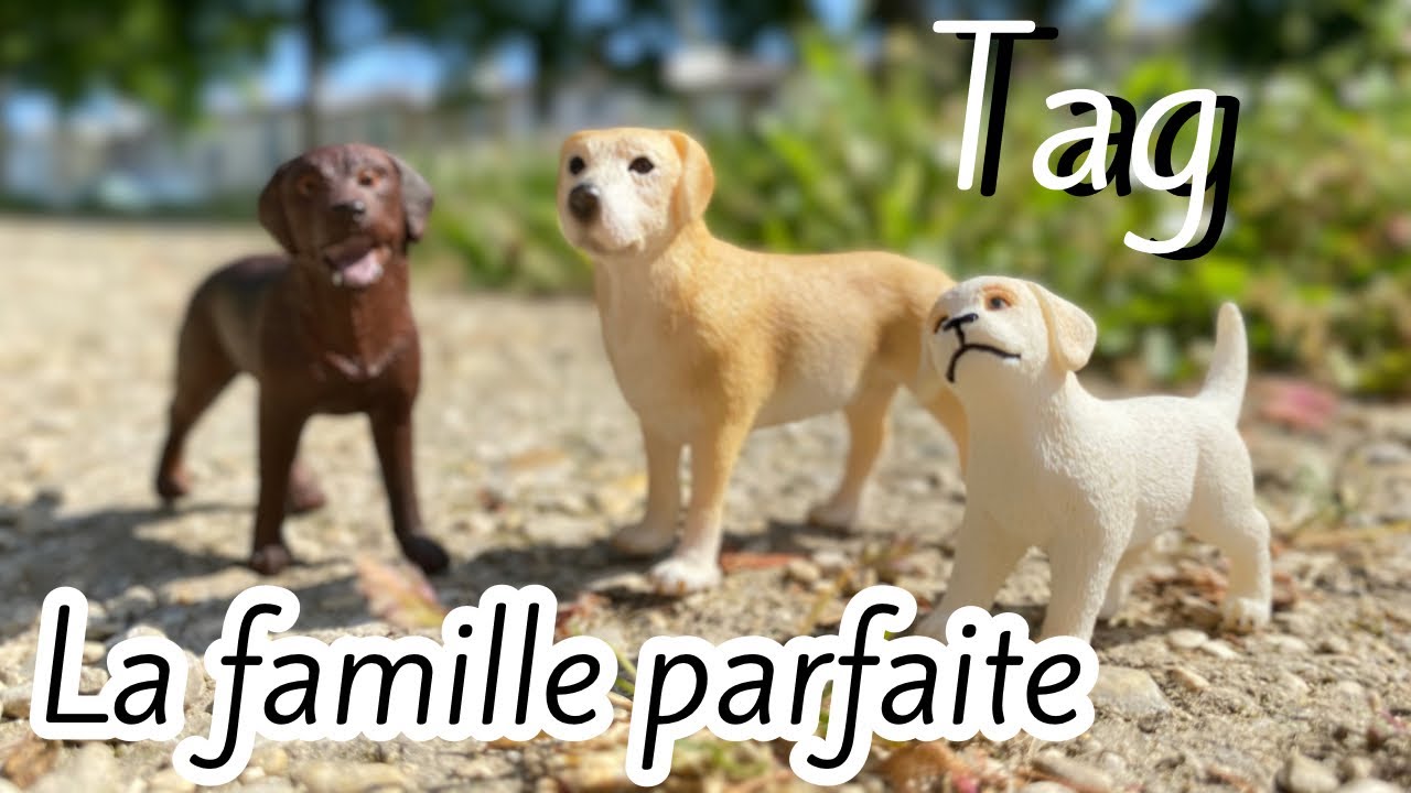 [TAG] La famille parfaite, version chien