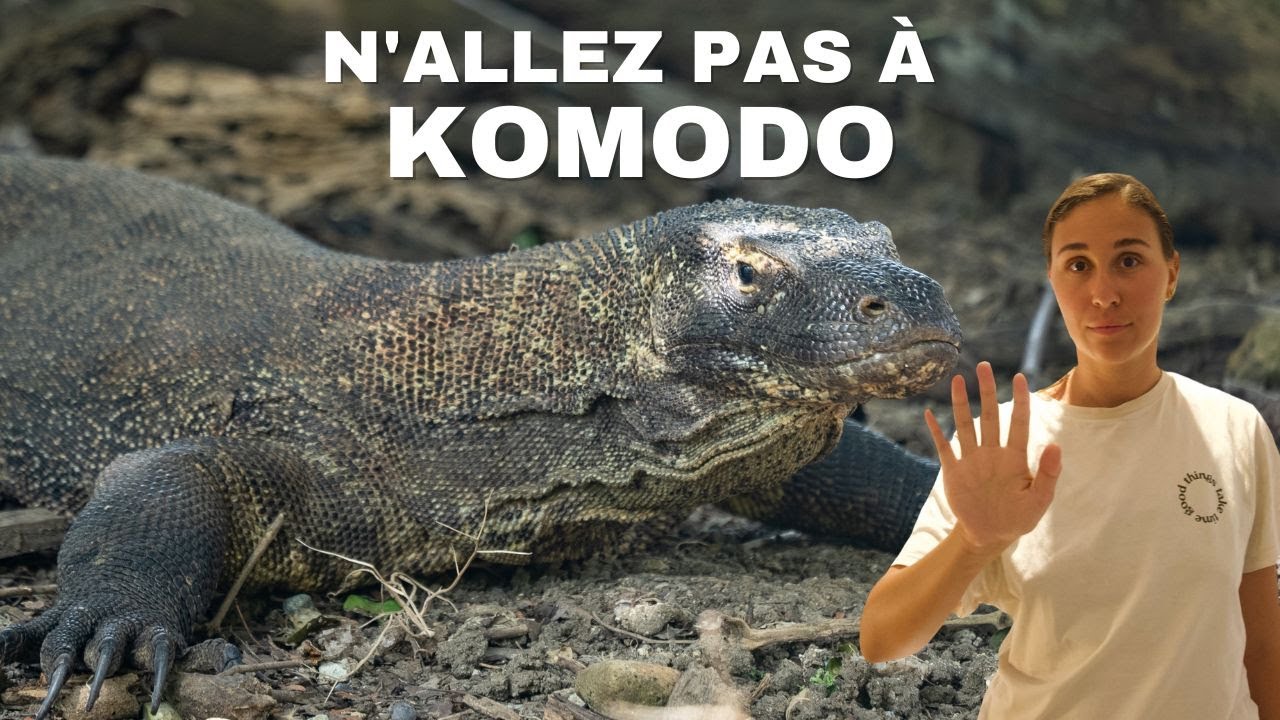 N'allez PAS à Komodo !