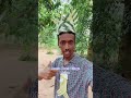 مختصر الأماكن السياحية في جزيرة زنجبار مختصر الأماكن السياحية في جزيرة زنجبار