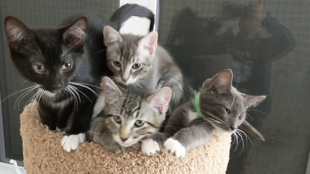 Close up 2019-01-25, Working Class and Cooper