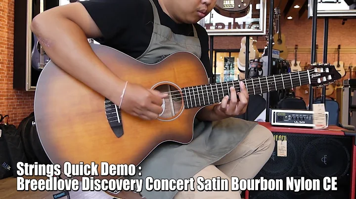 Strings Quick Demo : Breedlove Discovery Concert S...