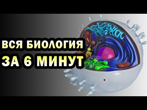 Видео: Как се учи за час по биология в колежа?