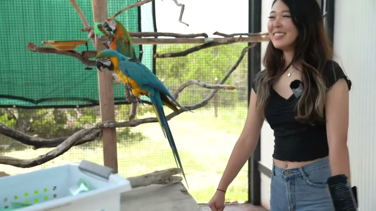 ExtraEmily Gets Sturdy With The Birds