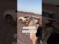 تحدي بين جود والكوتش علي الحجر الحجر اكسبلور خيل ترند خياله الخيل 
