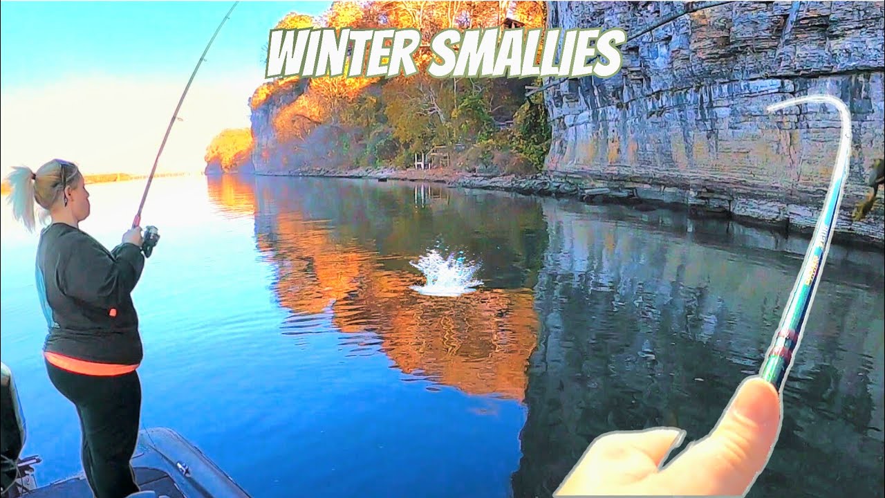 Fishing Pickwick Lake for Winter Smallmouth Bass!!!
