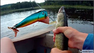 Popping for Pickerel