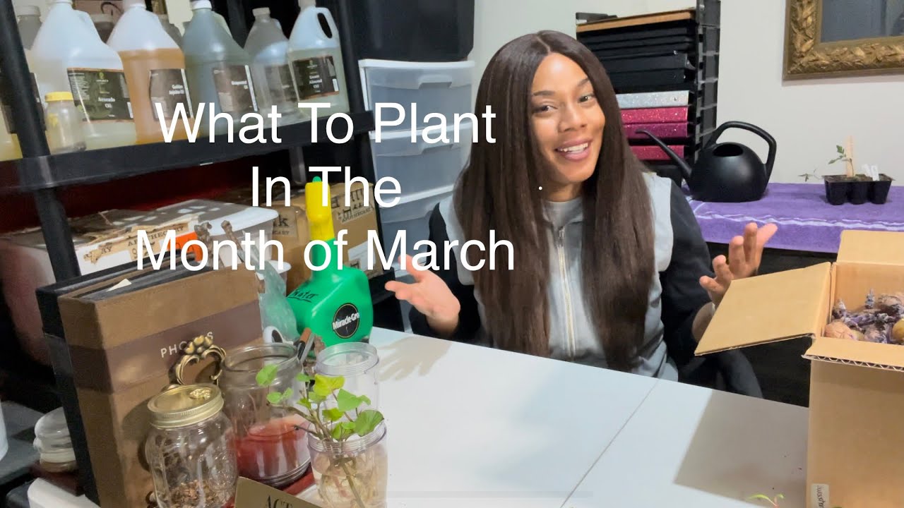 What To Plant In The Month Of March Indoors Spring Garden - YouTube