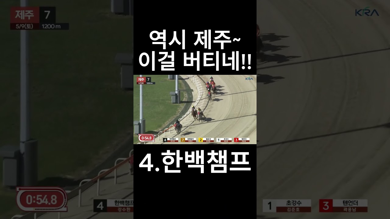 역시제주 이걸버티네  #경마  #경마예상  #경마방송  #경마예상방송  #서울경마  #금요경마  #토요경마  #일요경마 #경마장