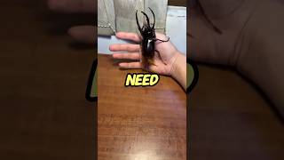 Pov Schools When You Have An Overdue Library Book