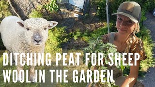 Ditching Peat for Sheep Wool in the Garden!