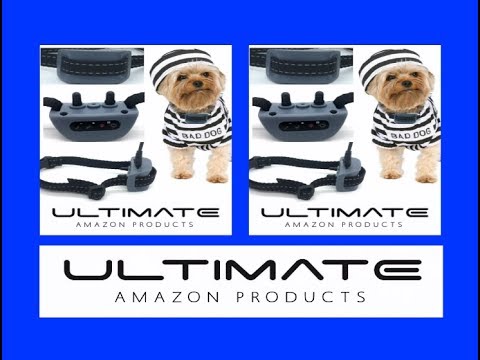bark-collar-dog-lifetime