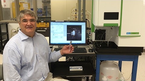 Looking Through Plasma with Peter Morrisroe