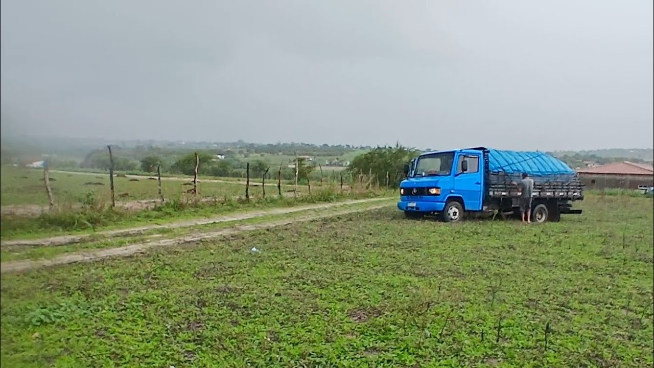 INICIANDO PLANTIL DE CAPIM E AS CONPRAS DE ADUBO + UMA TROVOADA 03 de março de 2026