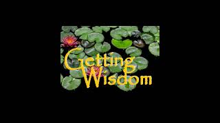 Getting Wisdom 12 by Getting Wisdom 5 views 9 months ago 18 minutes