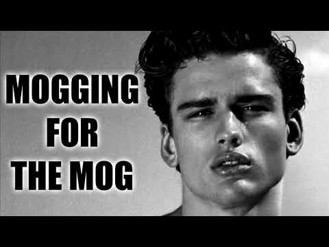 mogann