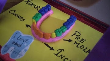 Idea for making model on teeth with clay