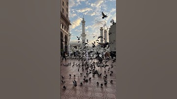 سورة غافر {الآية 40} بصوت الشيخ ياسر الدوسري ❤️❤️