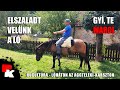 🐴 Lóháton az Aggteleki-karszton