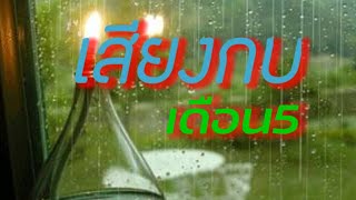 บรรยากาศหลังฝนตกเดือน 5 เสียงกบ เสียงเขียด เสียงอึ่ง ดนตรีแห่งทุ่งนา | อีสานไทยบ้านนอก